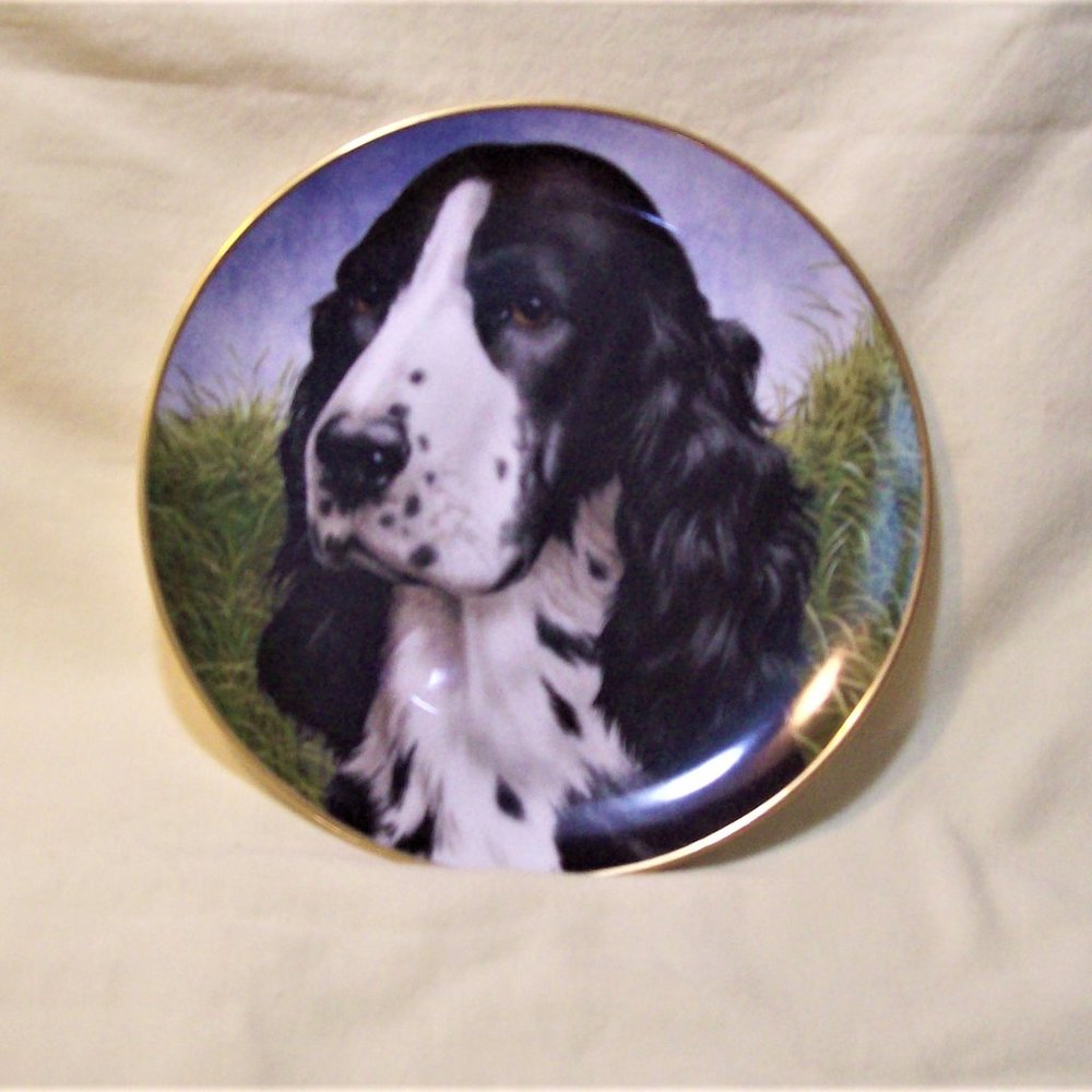 (*)* Cockerspaniel * Collector's Plate / John Francis